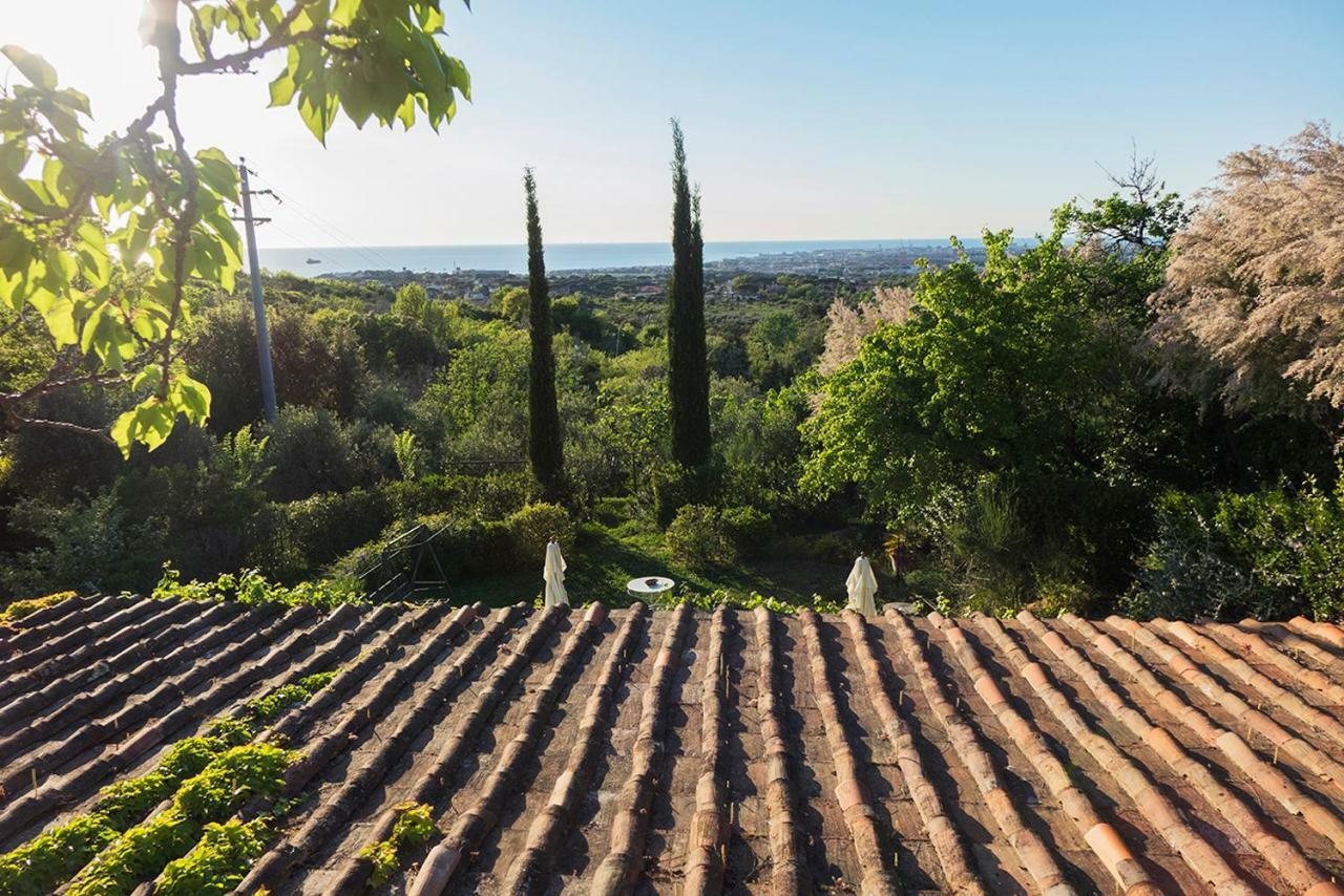 B&B Villa Panicucci Livorno Bagian luar foto